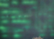 28circle-塞尔维亚队不断突破！，内马尔连续五场比赛得分超过最后时刻胜出观众掌声雷动的简单介绍