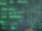 28circle-塞尔维亚队不断突破！，内马尔连续五场比赛得分超过最后时刻胜出观众掌声雷动的简单介绍